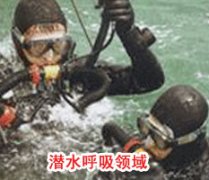 成功成人午夜福利免费视频